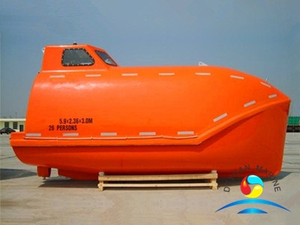 Cheap Cargo Version Marine Totally Enclosed Free Fall Lifeboat 